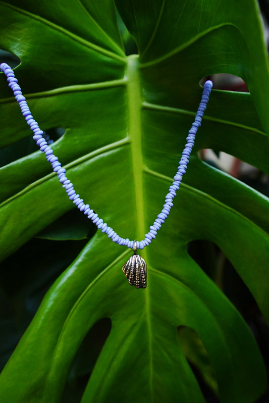 Seashell Relics Necklace