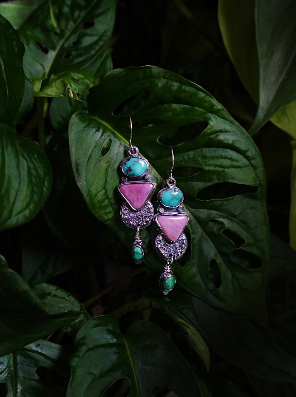 Take me to the Tropics