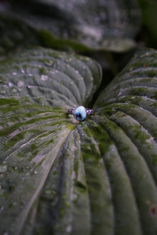 Golden Hills Turquoise - Stamped Sunrise Ring Size 7 1/4