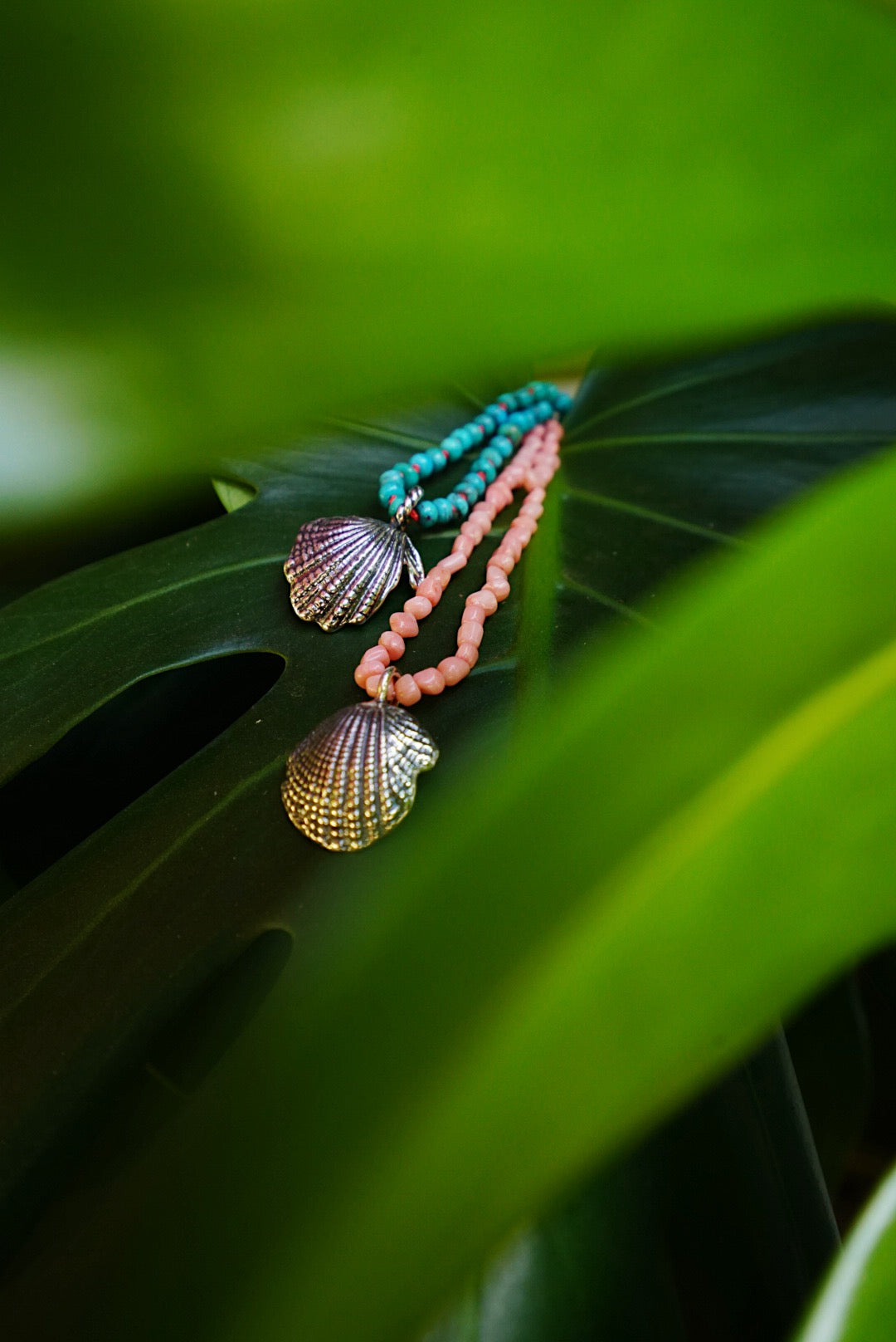 Seashell Relics Necklace