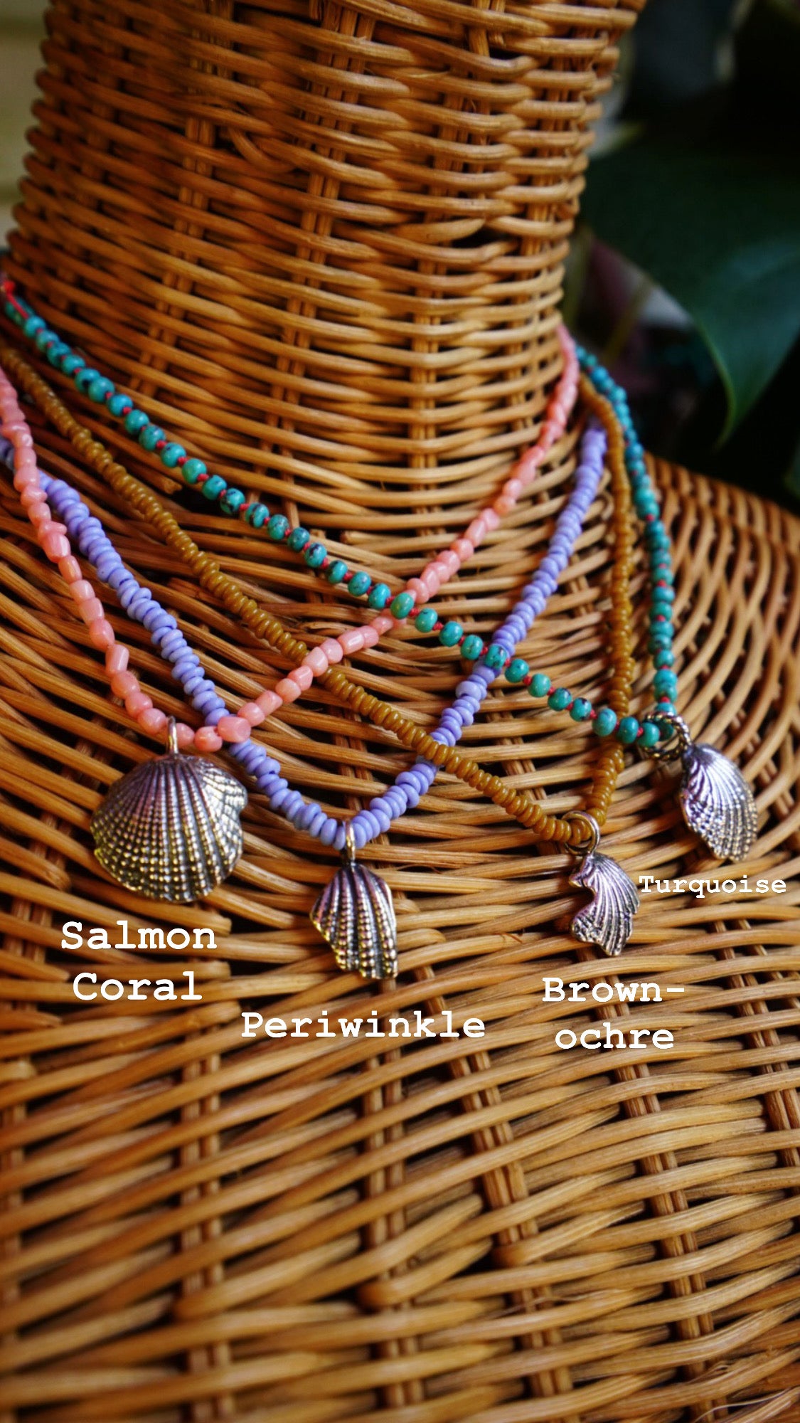 Seashell Relics Necklace