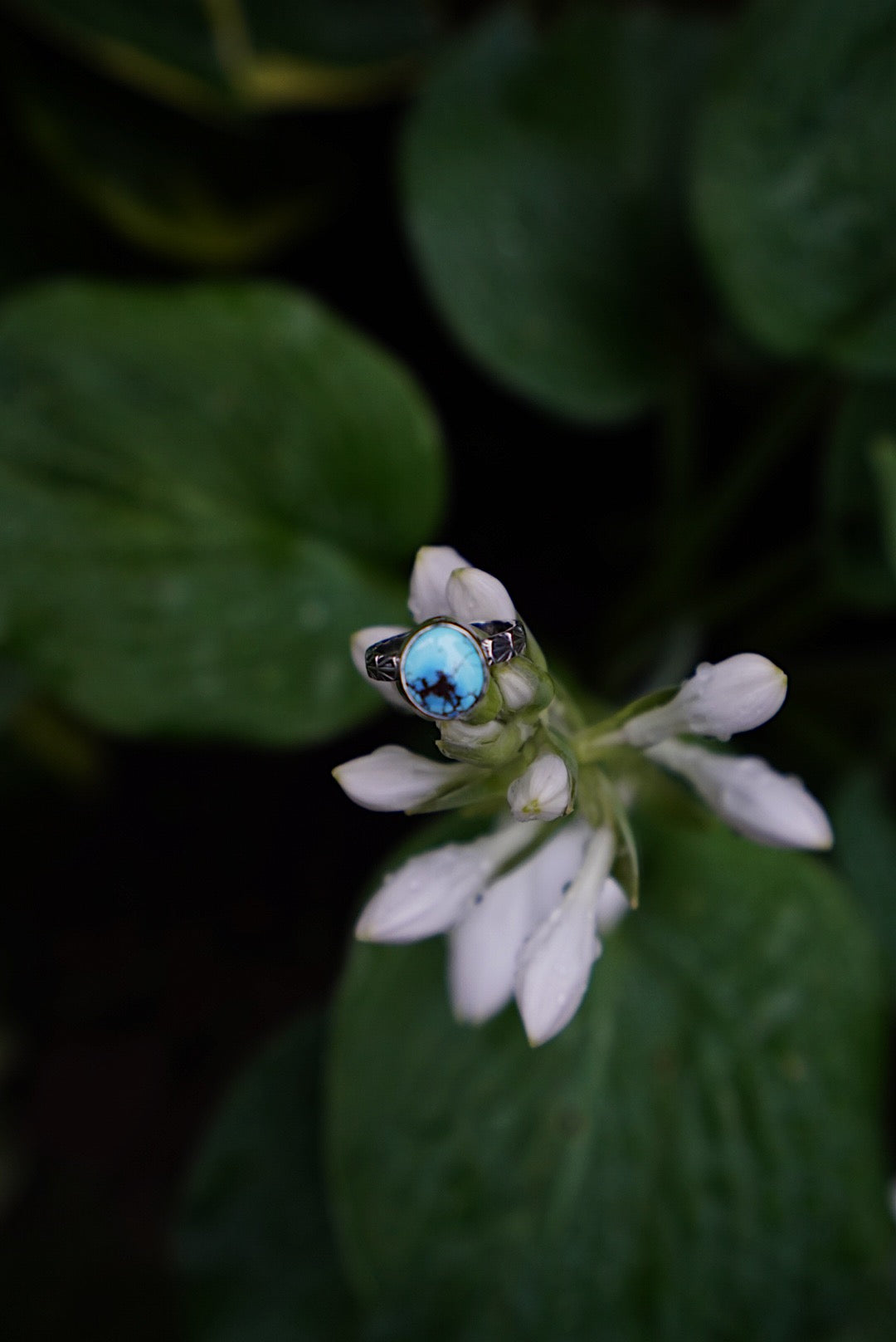 Golden Hills Turquoise - Stamped Sunrise Ring Size 7 1/4