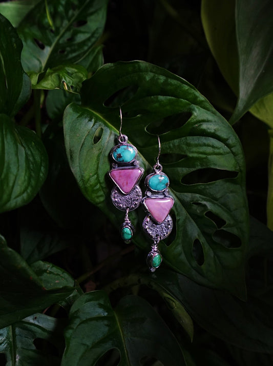 Take me to the Tropics