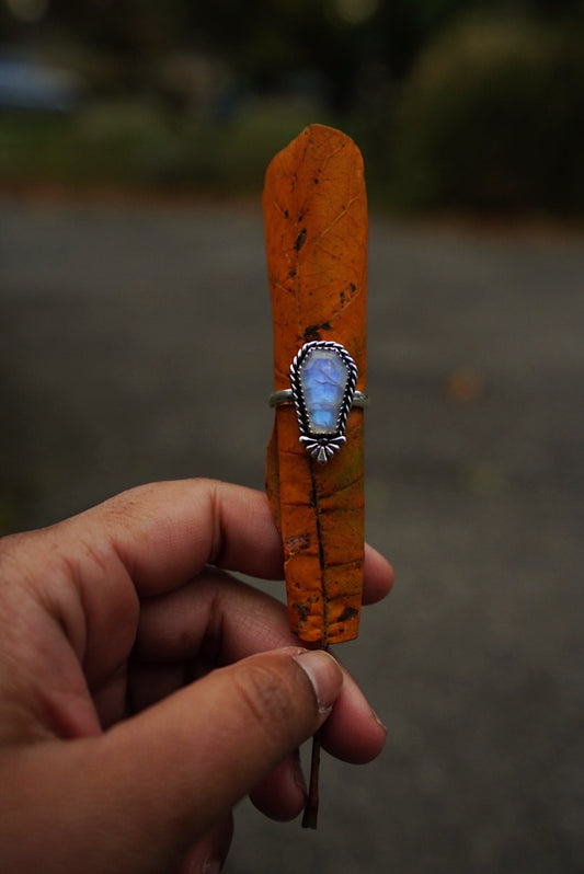 Moonstone Coffin Ring - Size 8 3/4