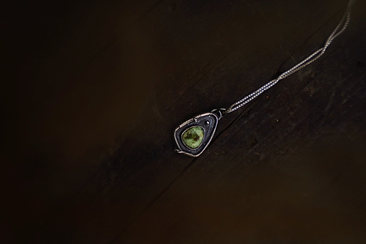 Nature’s Compass Necklace