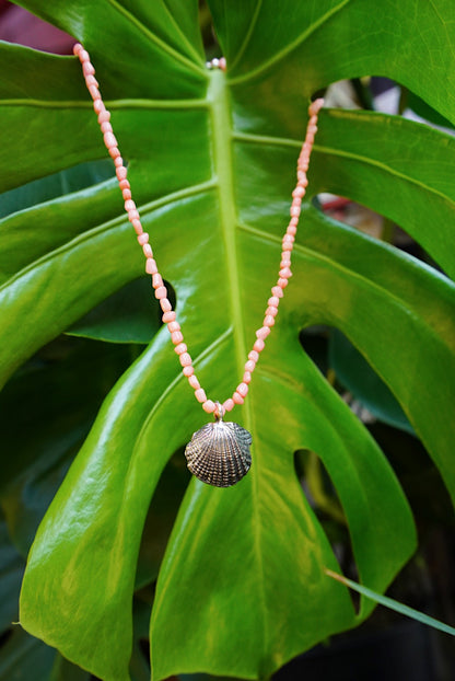 Seashell Relics Necklace