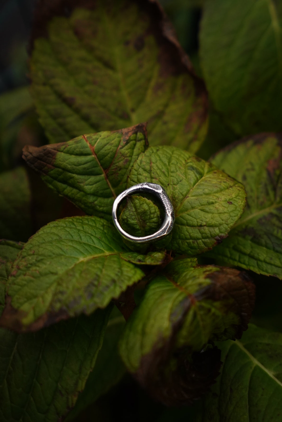 Sandcasted Ring - Size 8