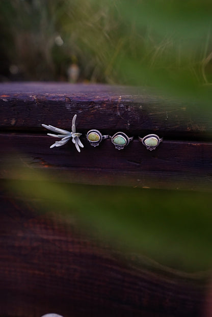 Spooky Stackers - Sizes 6.5, 7.5 & 8.5